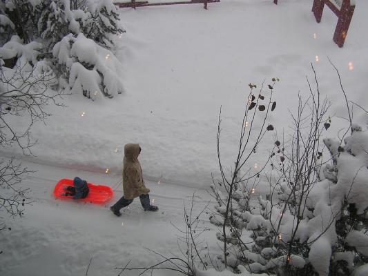 Katie pulls Noah in the sled.