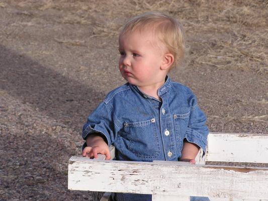 Noah considers the meaning of wagon rides and their impact on global trade.
