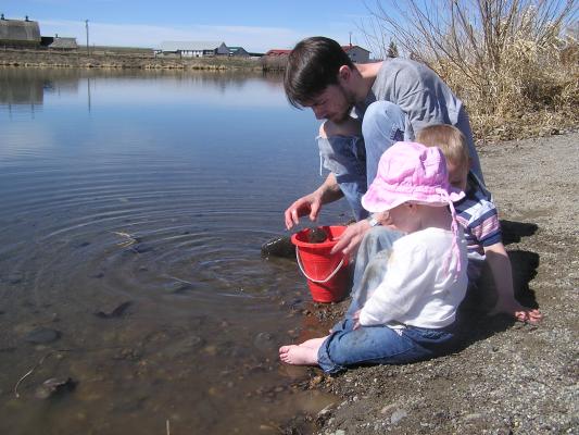 David, Noah and Sarah put rocks in a bucket.