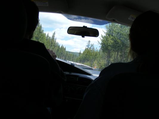 A child's view of Yellowstone.