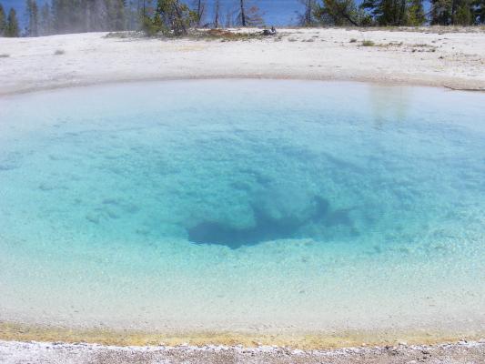 Pretty pool water