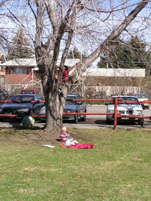 Kids playing in the yard.