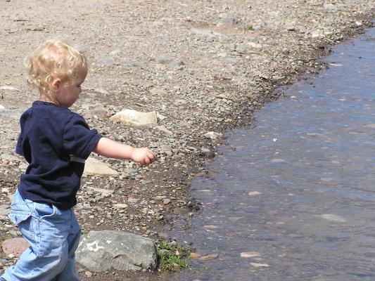 Noah threw it into the water.