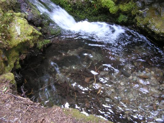 The view from teh top of the waterfall.