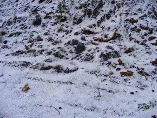 It hailed.
