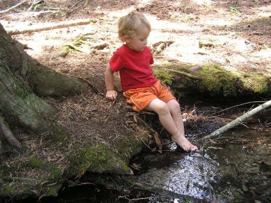 Noah feels the cold creek water