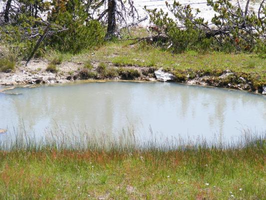muddy pool