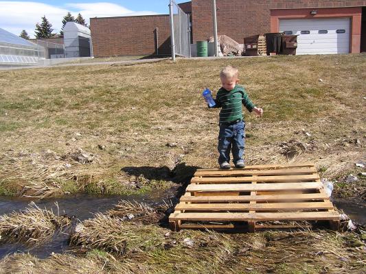 Noah found a cool bridge.