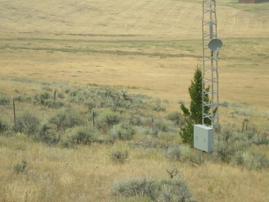 Deer Bridger Canyon