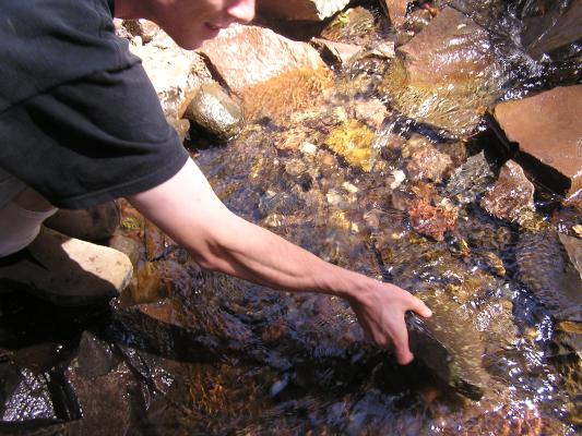 David picking up rocks