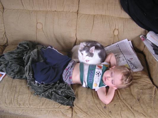 Noah and the kitty are finally getting along.