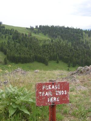 There's three elk in the background.
