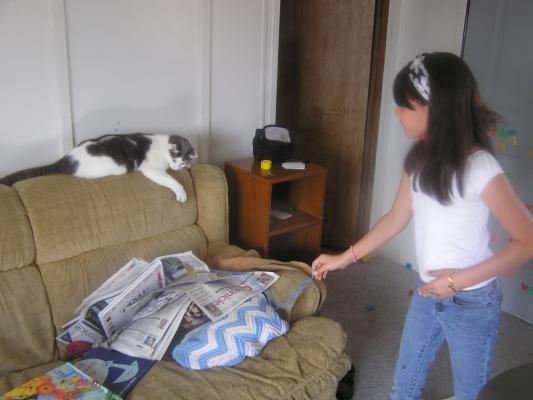 Malia plays with the cat