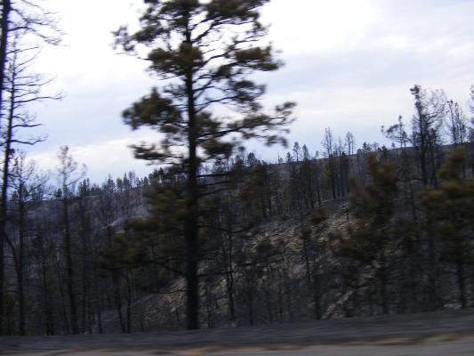 Went through a fire on the way home.