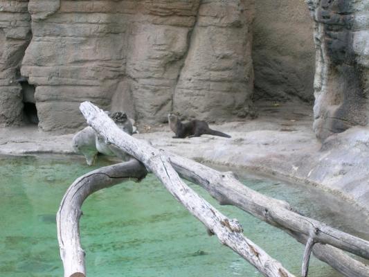 Zoo Montana 2006