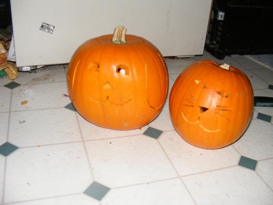 Dog and cat pumpkins