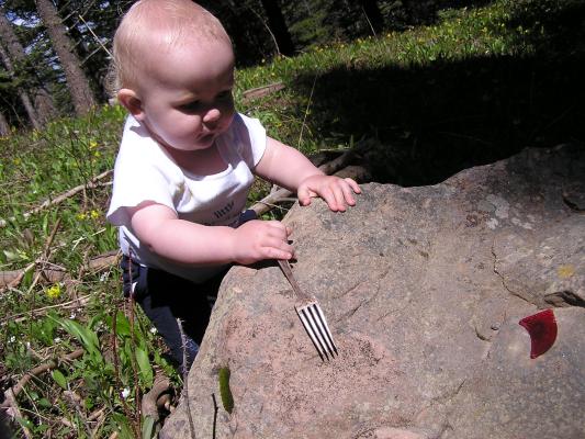 They also found a fork