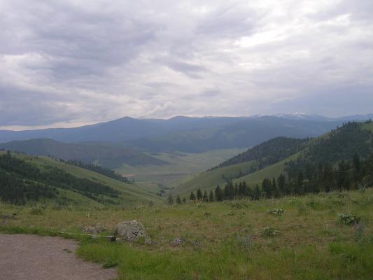 View from the Countrial Buffalo Ranch.