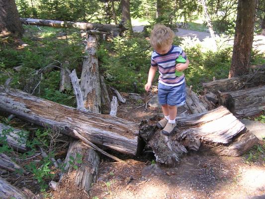 Noah on some logs