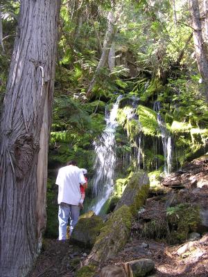 David and Sarah are hiking