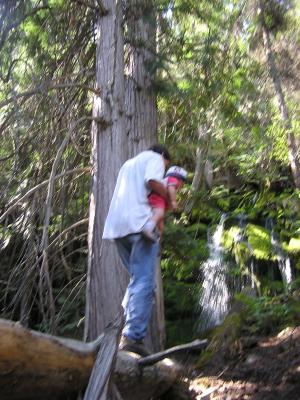 David takes Sarah accross the log.