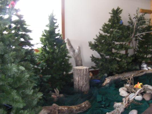 VBS forest