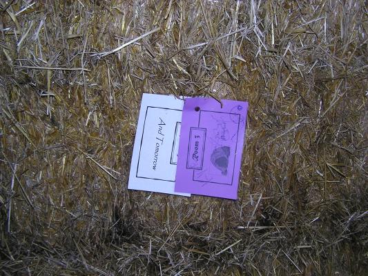 GVCC does the maze!
We found room 3 and a clue.