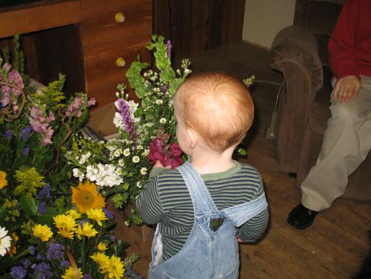 Steven plays with great grandpa's flowers.
