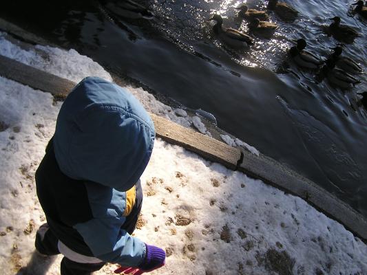 Noah at the MSU duck pond.