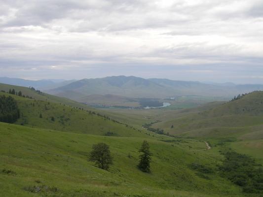 View from the Buffalo Range.