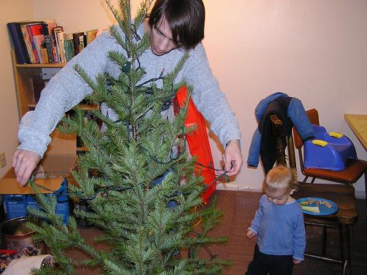 Let's decorate the Christmas bush.