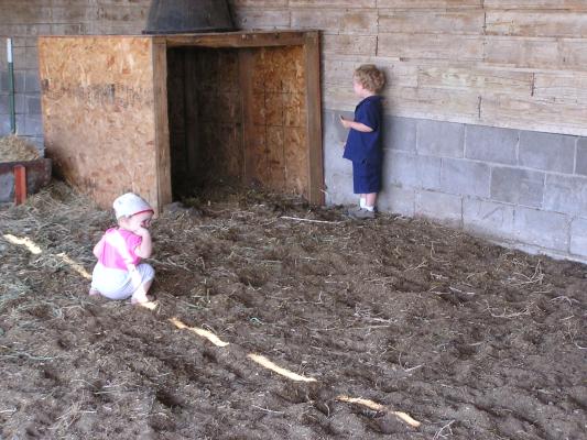 Noah and Sarah chase a rooster