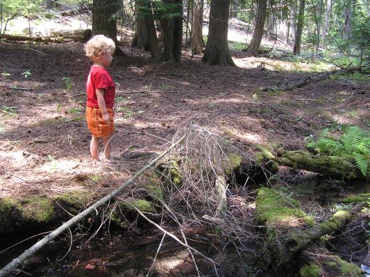 Noah plays by a little stream