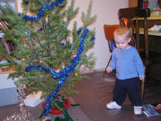 I think we need the green garland on the tree next.