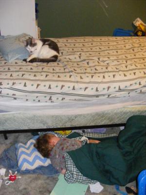 Noah is on the floor. The cat is on the bed.