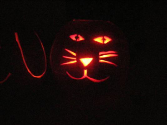 glowing cat pumpkin
