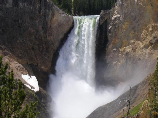 Yellowstone Falls.