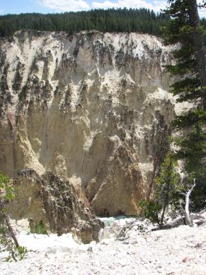 Yellowstone River near falls.