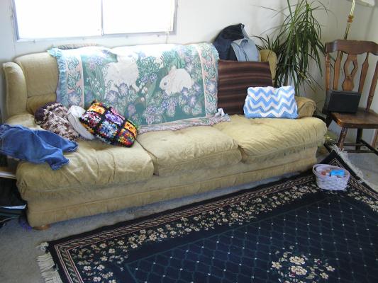 Our couch in the living room