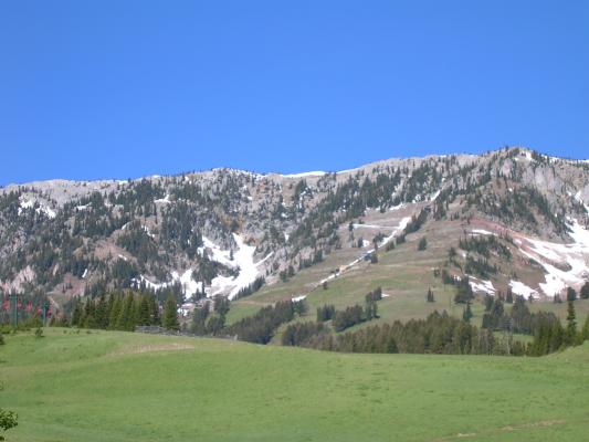 Bridger Bowl.