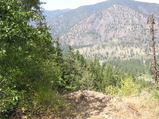 A view from Cascade Falls
