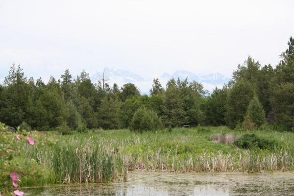 View of the Mission Mountains from the nature walk at the Bison Range.