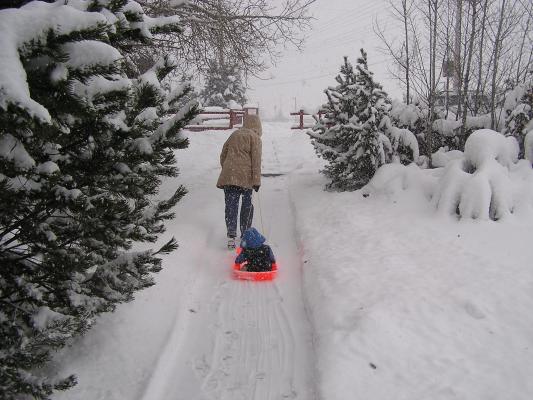 Wee! Riding in a sled is fun.