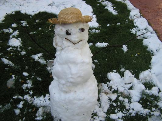 Repared Snowman. Noah gets to keep the carrot.
