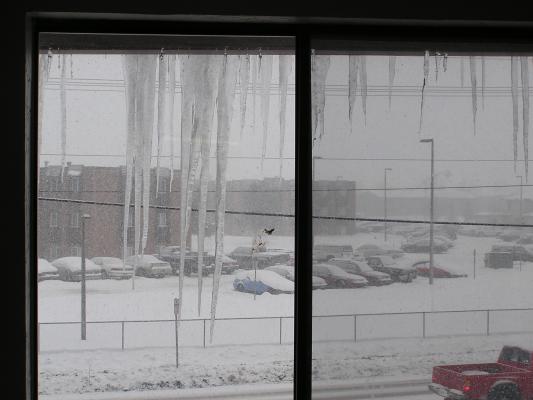 Look we have lots of icecicles.