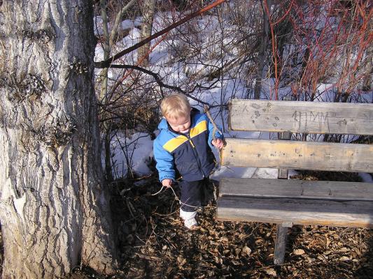 Noah moves leaves with his sticks.