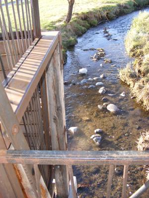 the creek.