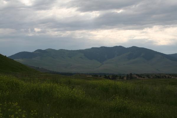 National Bison Range.