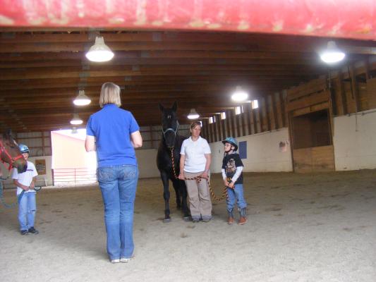Noah with a horse at eaglemount