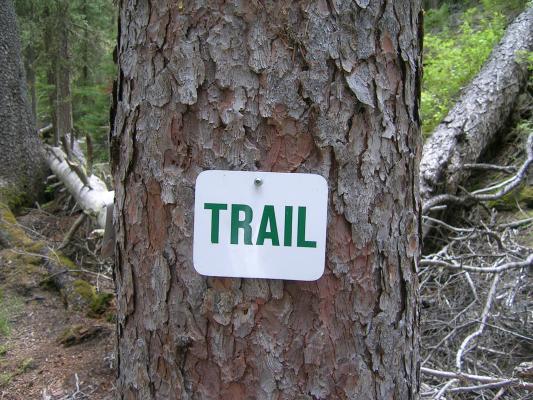 TRAIL.